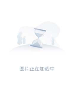 锦囊妙录